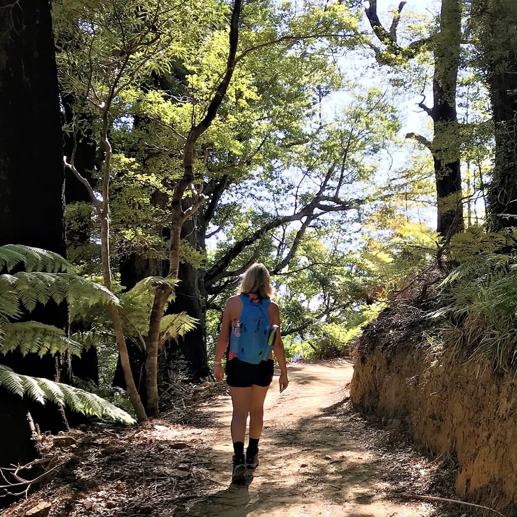 Walk the Queen Charlotte Track