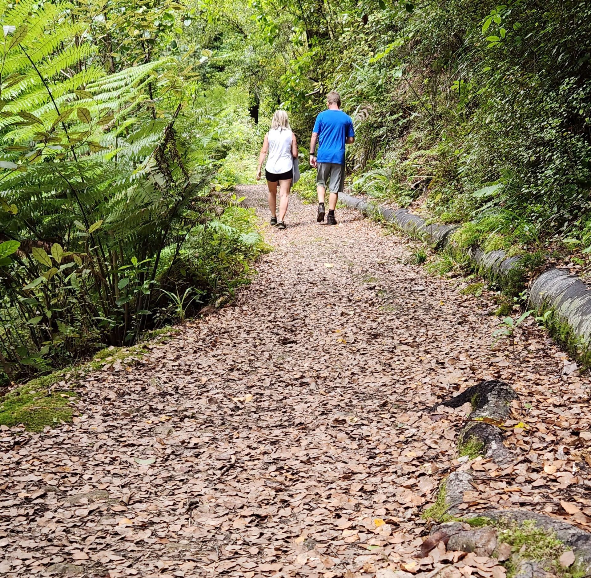 Walking Humphries Dam trail