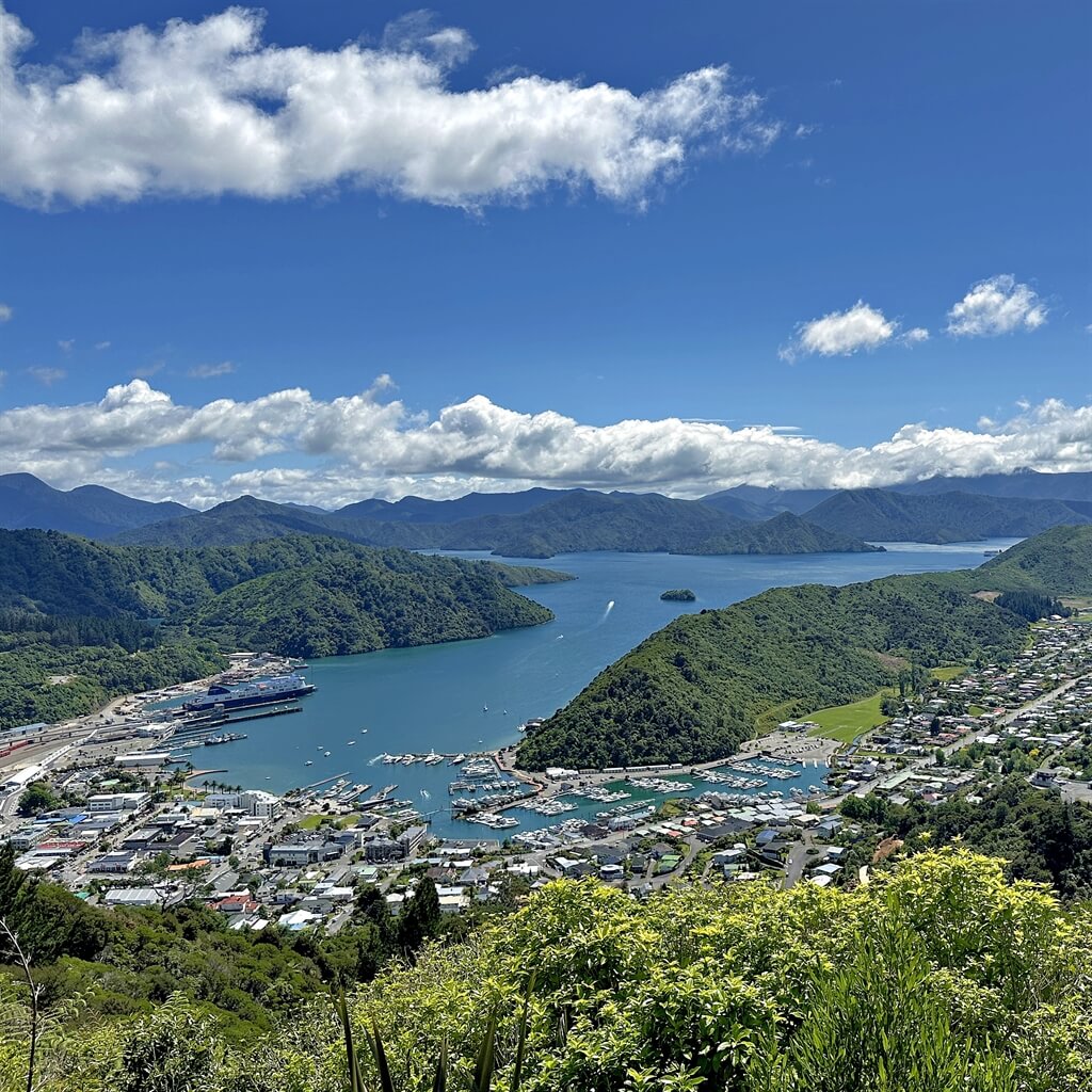 View from the summit of Tirohanga Track