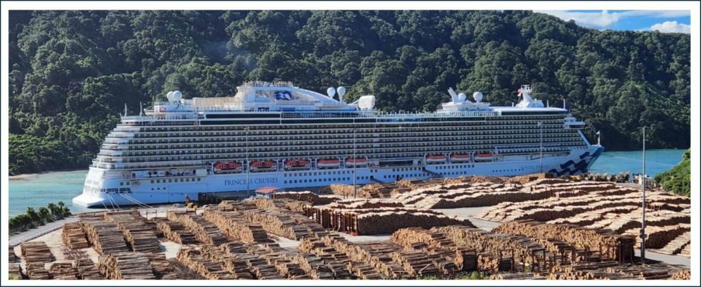 View of a Princess Cruises ship berthed at Shakespeare Bay