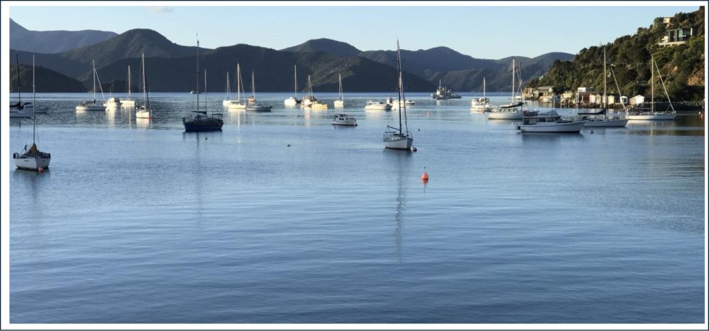 View of Waikawa Bay and many boats moored there
