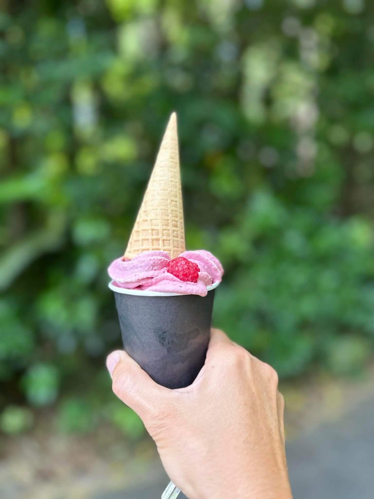 Real fruit ice cream purchased at the caravan cafe at Pelorus Bridge